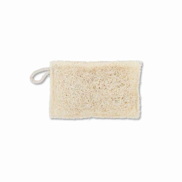 Luffa Spülschwamm